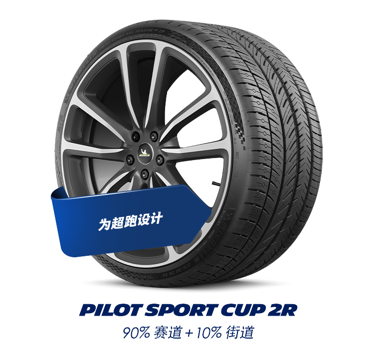 PILOT_SPORT_CUP_2R